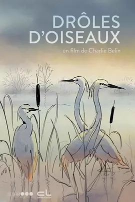 欧美xxxx见血