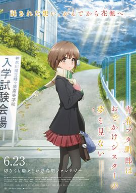 付费毛片