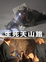 99riav国产